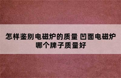 怎样鉴别电磁炉的质量 凹面电磁炉哪个牌子质量好